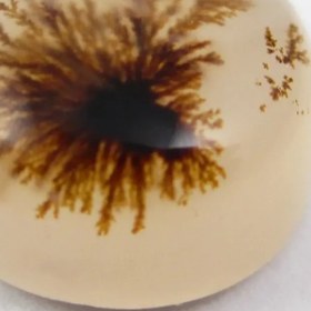 تصویر سنگ شجر کد 2385 