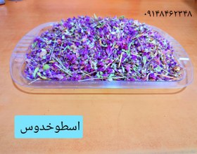 تصویر اسطوخدوس ـ ۱۲۰گرم 