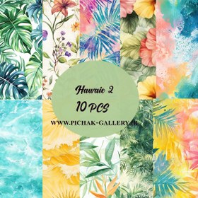 تصویر تمساز هاوایی2 