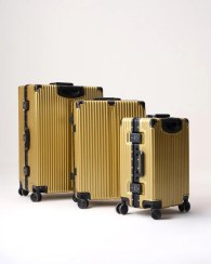 تصویر ست چمدان مدل Rose-Merry-RL-318-3S-Gold 