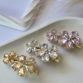 تصویر گلسر انبری مجلسی 