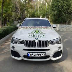 تصویر ماشین عروس BMW سفید با گل داوودی قرمز و سفید 