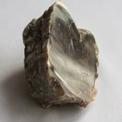 تصویر سنگ فسیل عقیق آنکارا راف 245 گرمی 