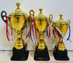 تصویر کاپ قهرمانی کد IR023 تکی 
