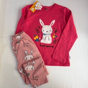 تصویر ست خرگوش وارداتي 