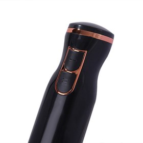 تصویر گوشت کوب برقی دسینی مدل DS73 