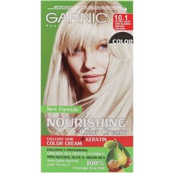 تصویر کیت رنگ مو گارنیک شماره 10.1 حجم 80 میلی لیتر رنگ بلوند خاکستری Garnic Hair Color Kit No. 10.1 volume 80 ml gray blonde color