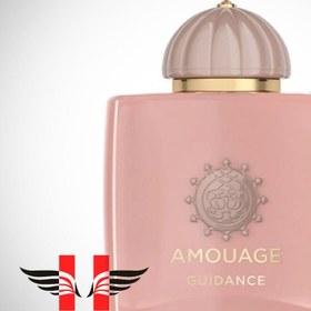 Amouage Guidance