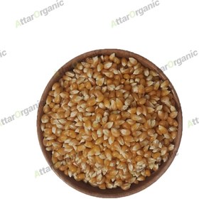 تصویر ذرت خشک ۱ کیلوگرم 