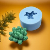 تصویر قالب سیلیکونی کاکتوس 