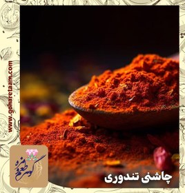 تصویر چاشنی تندوری | خرید ادویه تندوری 