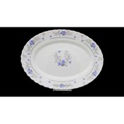 تصویر دیس سایز بزرگ پارس اپال آرکوپال کد 120 