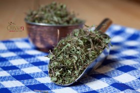 تصویر اویشن کوهی 