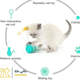 تصویر اسباب بازی تعادلی فنری مخصوص گربه 