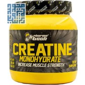 تصویر پودر كراتین مونوهیدرات 300 گرم فارماتك Pharma Tech Creatine Monohydrate 300 g