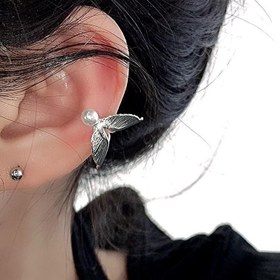 تصویر ایرکاف دم ماهی 