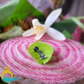 تصویر پیرسینگ گوش کد PS307 