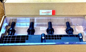 تصویر کوئل رانا 