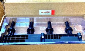 تصویر کوئل رانا 