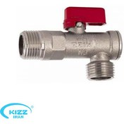 تصویر شیر پیسوار کیز ایران 