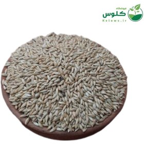 تصویر تخم کتان 5 کیلویی 