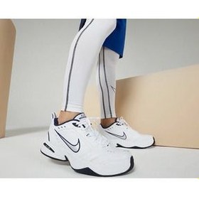 تصویر کفش روزانه Iv و های آموزشی نایک Nike 