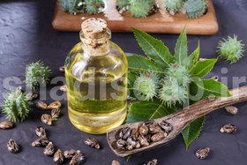 تصویر روغن کرچک 