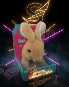 تصویر خرگوش موزیکال 