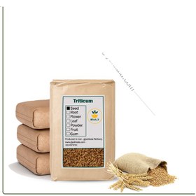 تصویر گندم خشک فله 