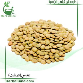 تصویر عدس درشت 