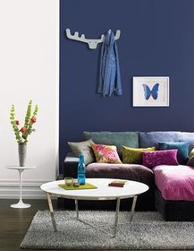 تصویر آویز لباس مدل آنتلر کد KMH16 