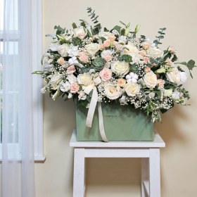 تصویر باکس سفید رسمی 