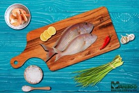 تصویر ماهی سرخو سلطان 