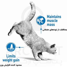 تصویر غذای خشک گربه لایت ویت رویال کنین 1.5 کیلوگرم Royal Canin Light Weight Dry Cat Food 1.5 kg