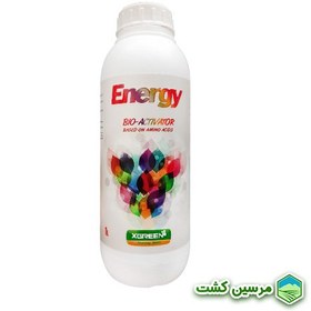 تصویر XGreen Energy Amino Acid آمینو اسید انرژی ایکس گرین 