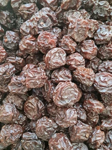 تصویر فروشگاه خشکبار مراغه اردبیل