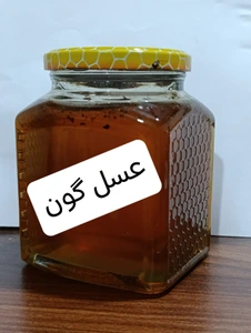 تصویر فروشگاه طیب کشت آرای شمال