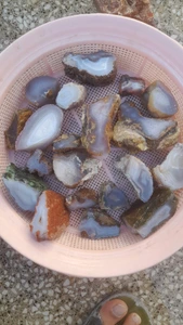 تصویر فروشگاه نوین آیسک