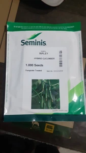 تصویر فروشگاه هما بذر