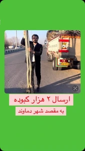 تصویر فروشگاه نهالستان فردا نهال