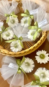 تصویر فروشگاه ماهتیسا گالری