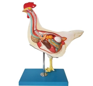 تصویر فروشگاه کارآزما نوین