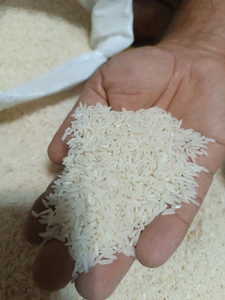 تصویر فروشگاه برنج و خشکبار لنگرود