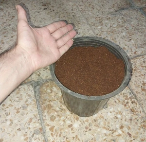 تصویر فروشگاه اهواز گاردن