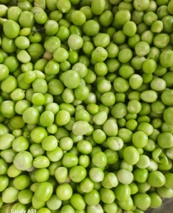 تصویر فروشگاه فرشتگان حامی سلامت