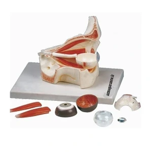 تصویر فروشگاه کارآزما نوین