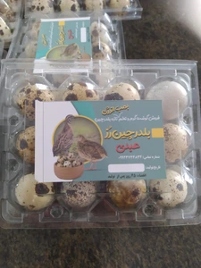 تصویر فروشگاه بلدرچین رز عبدی