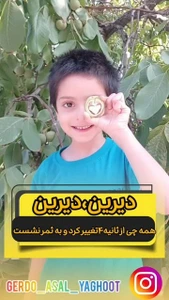 تصویر فروشگاه گردو و عسل یاقوت