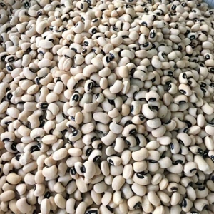 تصویر فروشگاه مواد غذایی بسم الله