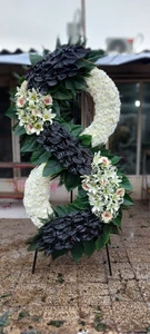 تصویر فروشگاه باغ گل محلاتی کاتلیا